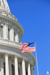 US Capitol with Flag