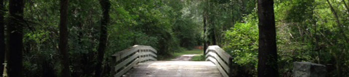 Moores Creek bridge