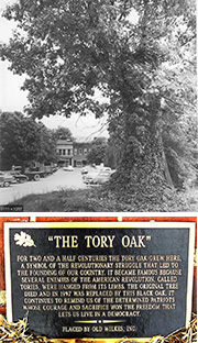 The Tory Oak