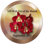VIS Web Site of the Month
