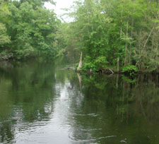 Lumber River