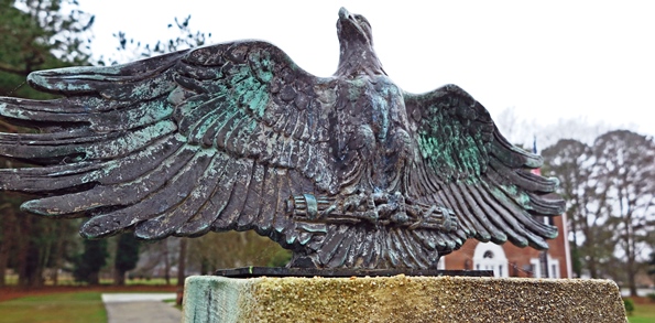 Eagle Photo